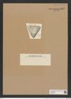 Triceratium tripartitum Grun. (de-Toni-Nr.: Genus 140, Species 3841) Zeichnungen Sammlung Grunow Nr. 7342 (NHMW-BOT-W0376387)